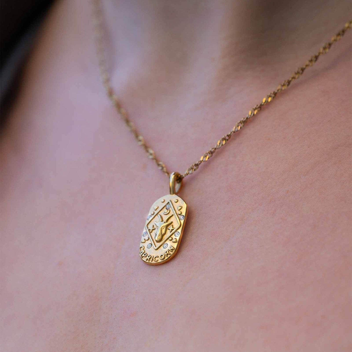 Zodíaco Chain Braided Necklace (18K Gold Plated) | Luvesina