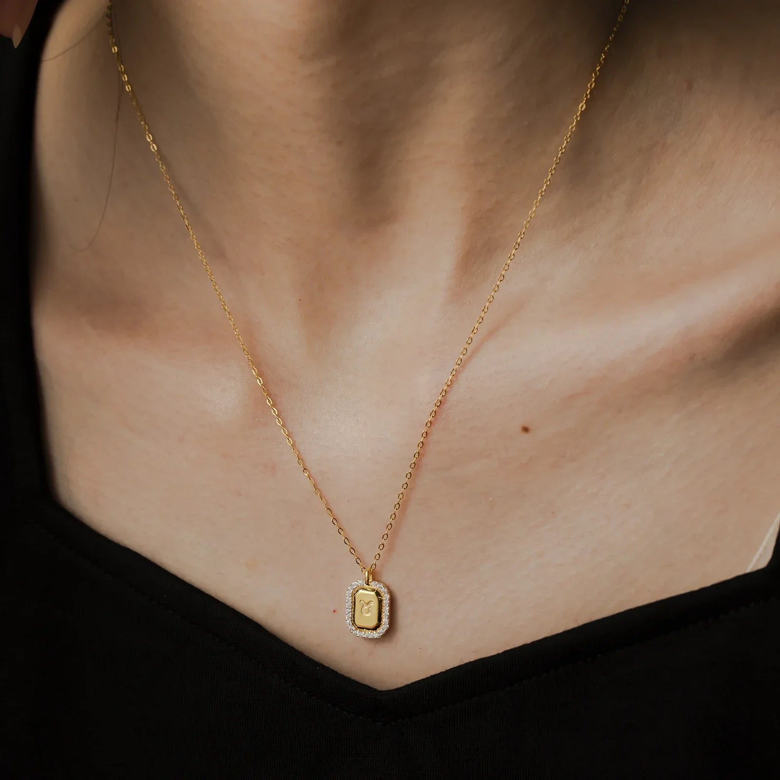 12 Signos del Zodíaco Zirconia Necklace (18K Gold Plated) | Luvesina