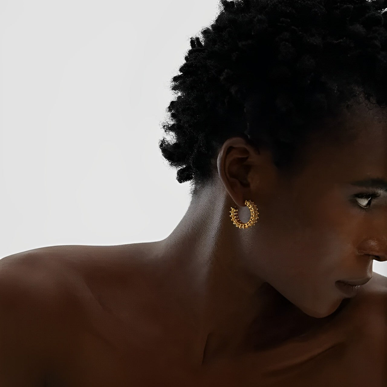 Aro Serena Zirconia Earring (18K Gold Plated) | Luvesina